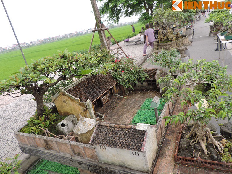 Tieu canh tu bonsai dep me hon cua nghe nhan Hai Phong-Hinh-8